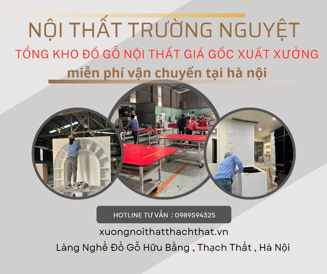 giới thiệu về trường nguyệt wood